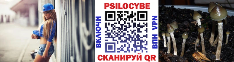 Галлюциногенные грибы Cubensis  Кузнецк 